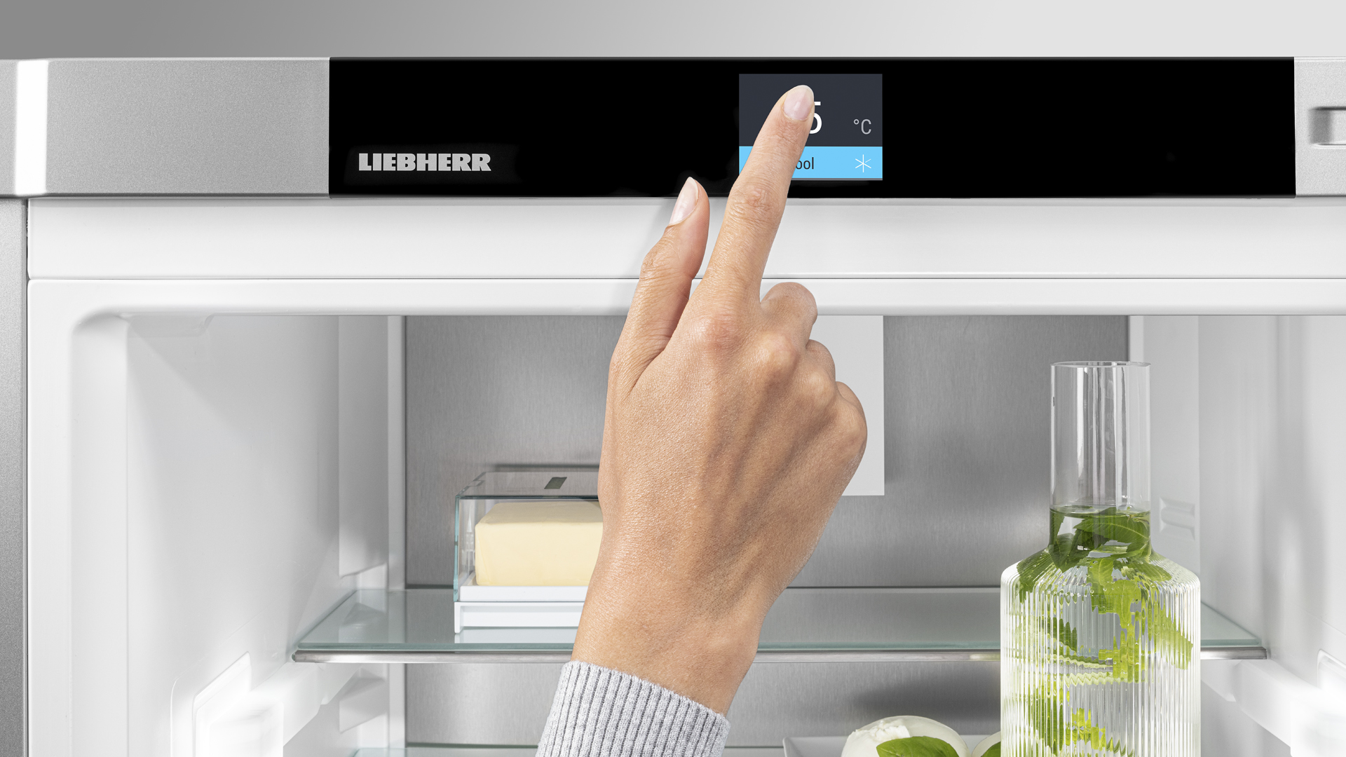 SRB5290 Freestanding refrigerator with BioFresh Professional